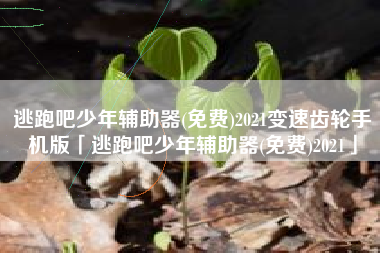 逃跑吧少年辅助器(免费)2021变速齿轮手机版「逃跑吧少年辅助器(免费)2021」