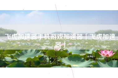 飞虎加速器手机游戏加速器「飞虎加速器」 飞虎加速器手机游戏加速器「飞虎加速器」