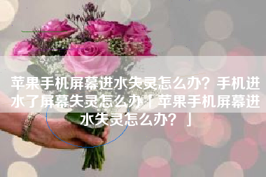 苹果手机屏幕进水失灵怎么办？手机进水了屏幕失灵怎么办「苹果手机屏幕进水失灵怎么办？」