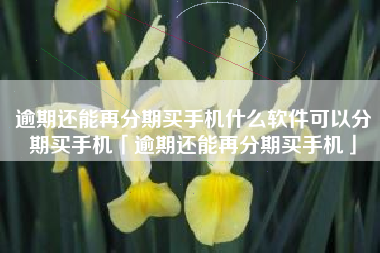 逾期还能再分期买手机什么软件可以分期买手机「逾期还能再分期买手机」