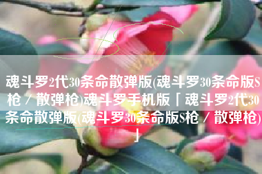魂斗罗2代30条命散弹版(魂斗罗30条命版S枪／散弹枪)魂斗罗手机版「魂斗罗2代30条命散弹版(魂斗罗30条命版S枪／散弹枪)」