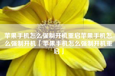 苹果手机怎么强制开机重启苹果手机怎么强制开机「苹果手机怎么强制开机重启」