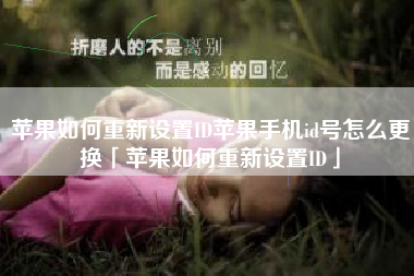苹果如何重新设置ID苹果手机id号怎么更换「苹果如何重新设置ID」