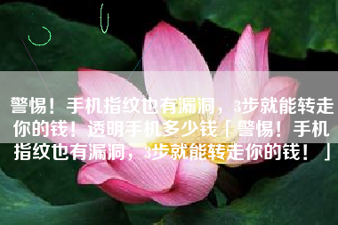 警惕！手机指纹也有漏洞，3步就能转走你的钱！透明手机多少钱「警惕！手机指纹也有漏洞，3步就能转走你的钱！」