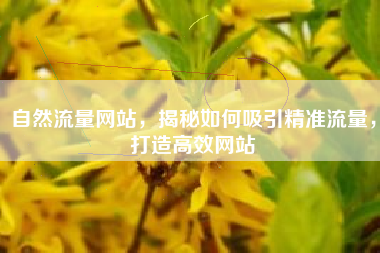 自然流量网站，揭秘如何吸引精准流量，打造高效网站