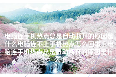 电脑连手机热点总是自动断开的原因是什么电脑连不上手机热点怎么回事「电脑连手机热点总是自动断开的原因是什么」 电脑连手机热点总是自动断开的原因是什么电脑连不上手机热点怎么回事「电脑连手机热点总是自动断开的原因是什么」