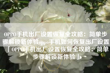 OPPO手机出厂设置恢复全攻略：简单步骤解锁新体验oppo手机如何恢复出厂设置「OPPO手机出厂设置恢复全攻略：简单步骤解锁新体验」