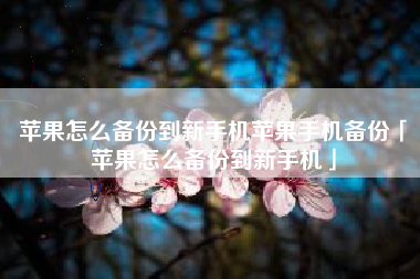 苹果怎么备份到新手机苹果手机备份「苹果怎么备份到新手机」
