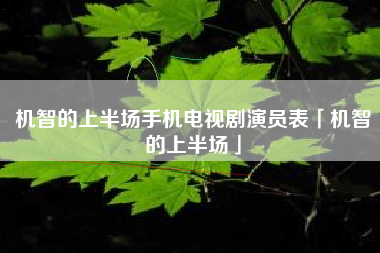 机智的上半场手机电视剧演员表「机智的上半场」