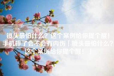 镜头最怕什么？这个案例给你提个醒！手机摔了会不会有内伤「镜头最怕什么？这个案例给你提个醒！」