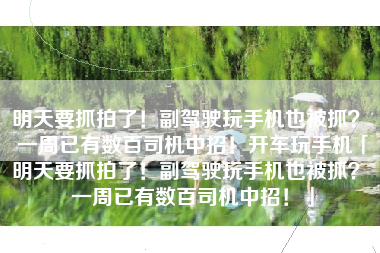 明天要抓拍了！副驾驶玩手机也被抓？ 一周已有数百司机中招！开车玩手机「明天要抓拍了！副驾驶玩手机也被抓？ 一周已有数百司机中招！」