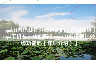 oppok11有搭载红外线功能吗【详细介绍】oppo手机有nfc功能吗「oppok11有搭载红外线功能吗【详细介绍】」