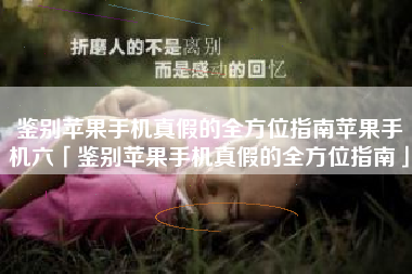 鉴别苹果手机真假的全方位指南苹果手机六「鉴别苹果手机真假的全方位指南」