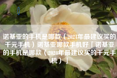 诺基亚的手机是哪款（2024年最建议买的千元手机）诺基亚哪款手机好「诺基亚的手机是哪款（2024年最建议买的千元手机）」
