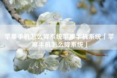 苹果手机怎么降系统苹果手机系统「苹果手机怎么降系统」