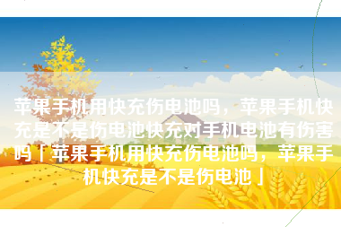苹果手机用快充伤电池吗，苹果手机快充是不是伤电池快充对手机电池有伤害吗「苹果手机用快充伤电池吗，苹果手机快充是不是伤电池」