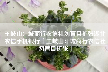 王岐山：城商行农信社勿盲目扩张湖北农信手机银行「王岐山：城商行农信社勿盲目扩张」