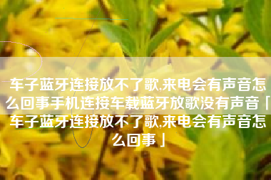 车子蓝牙连接放不了歌,来电会有声音怎么回事手机连接车载蓝牙放歌没有声音「车子蓝牙连接放不了歌,来电会有声音怎么回事」