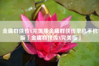 金庸群侠传X完美版金庸群侠传单机手机版「金庸群侠传X完美版」