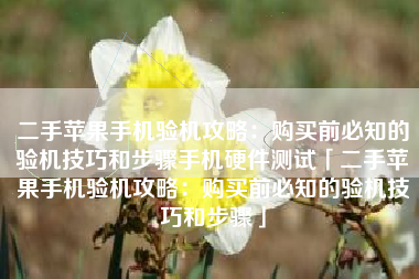 二手苹果手机验机攻略：购买前必知的验机技巧和步骤手机硬件测试「二手苹果手机验机攻略：购买前必知的验机技巧和步骤」