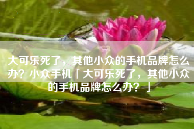 大可乐死了，其他小众的手机品牌怎么办？小众手机「大可乐死了，其他小众的手机品牌怎么办？」