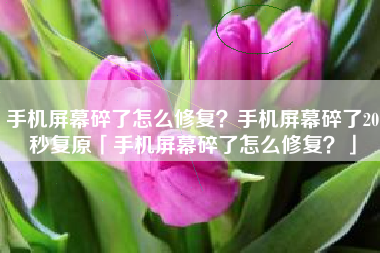 手机屏幕碎了怎么修复?手机屏幕碎了20秒复原「手机屏幕碎了怎么修复?」 手机屏幕碎了怎么修复?手机屏幕碎了20秒复原「手机屏幕碎了怎么修复?」
