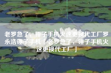 老罗急了，锤子手机火速更换代工厂罗永浩锤子手机「老罗急了，锤子手机火速更换代工厂」