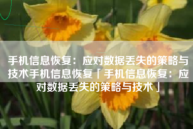 手机信息恢复：应对数据丢失的策略与技术手机信息恢复「手机信息恢复：应对数据丢失的策略与技术」