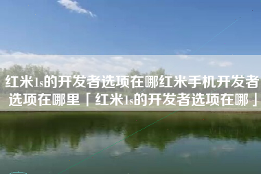 红米1s的开发者选项在哪红米手机开发者选项在哪里「红米1s的开发者选项在哪」