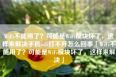 WiFi不能用了？可能是WiFi模块坏了，这样来解决手机wifi打不开怎么回事「WiFi不能用了？可能是WiFi模块坏了，这样来解决」