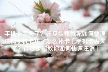手机卡丢失了？详尽步骤教你如何快速注销手机卡坏了怎么补卡「手机卡丢失了？详尽步骤教你如何快速注销」