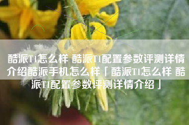 酷派T1怎么样 酷派T1配置参数评测详情介绍酷派手机怎么样「酷派T1怎么样 酷派T1配置参数评测详情介绍」
