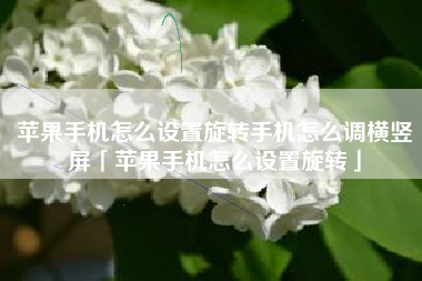 苹果手机怎么设置旋转手机怎么调横竖屏「苹果手机怎么设置旋转」