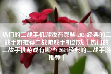 热门的二战手机游戏有哪些 2024经典的二战手游推荐二战游戏手机游戏「热门的二战手机游戏有哪些 2024经典的二战手游推荐」