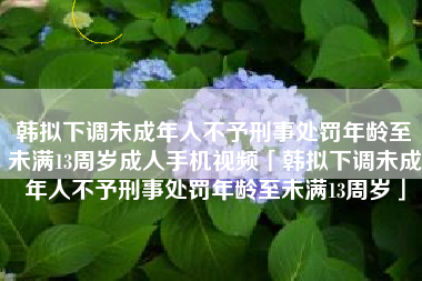 韩拟下调未成年人不予刑事处罚年龄至未满13周岁成人手机视频「韩拟下调未成年人不予刑事处罚年龄至未满13周岁」