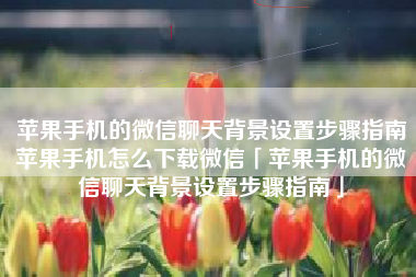 苹果手机的微信聊天背景设置步骤指南苹果手机怎么下载微信「苹果手机的微信聊天背景设置步骤指南」