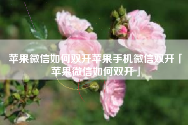 苹果微信如何双开苹果手机微信双开「苹果微信如何双开」
