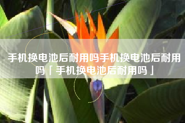 手机换电池后耐用吗手机换电池后耐用吗「手机换电池后耐用吗」 手机换电池后耐用吗手机换电池后耐用吗「手机换电池后耐用吗」