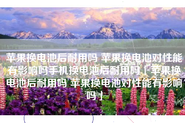 苹果换电池后耐用吗 苹果换电池对性能有影响吗手机换电池后耐用吗「苹果换电池后耐用吗 苹果换电池对性能有影响吗」