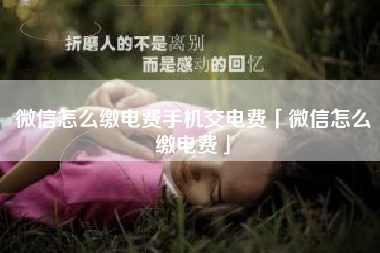 微信怎么缴电费手机交电费「微信怎么缴电费」