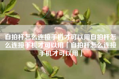 自拍杆怎么连接手机才可以用自拍杆怎么连接手机才可以用「自拍杆怎么连接手机才可以用」