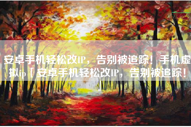 安卓手机轻松改IP，告别被追踪！手机虚拟ip「安卓手机轻松改IP，告别被追踪！」