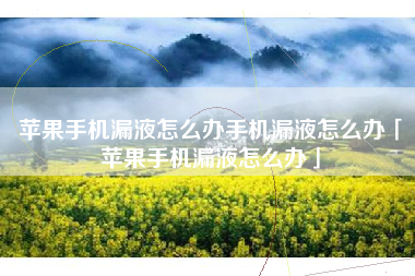 苹果手机漏液怎么办手机漏液怎么办「苹果手机漏液怎么办」