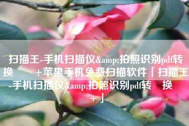 扫描王-手机扫描仪&拍照识别pdf转‪换‬٤+苹果手机免费扫描软件「扫描王-手机扫描仪&拍照识别pdf转‪换‬٤+」