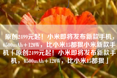 原创2499元起！小米即将发布新款手机，6500mAh+120W，比小米15都狠小米新款手机「原创2499元起！小米即将发布新款手机，6500mAh+120W，比小米15都狠」