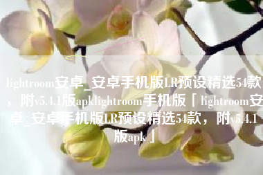 lightroom安卓_安卓手机版LR预设精选54款，附v5.4.1版apklightroom手机版「lightroom安卓_安卓手机版LR预设精选54款，附v5.4.1版apk」