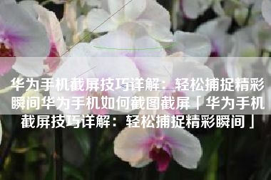 华为手机截屏技巧详解：轻松捕捉精彩瞬间华为手机如何截图截屏「华为手机截屏技巧详解：轻松捕捉精彩瞬间」