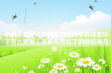 手机电池坏了的特征有几种手机电池坏了怎么修复「手机电池坏了的特征有几种」