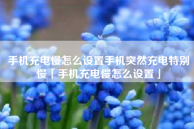 手机充电慢怎么设置手机突然充电特别慢「手机充电慢怎么设置」