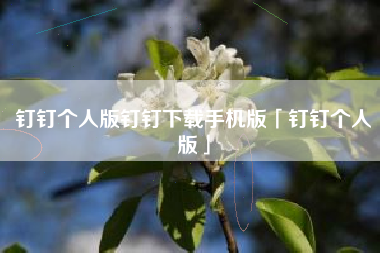 钉钉个人版钉钉下载手机版「钉钉个人版」